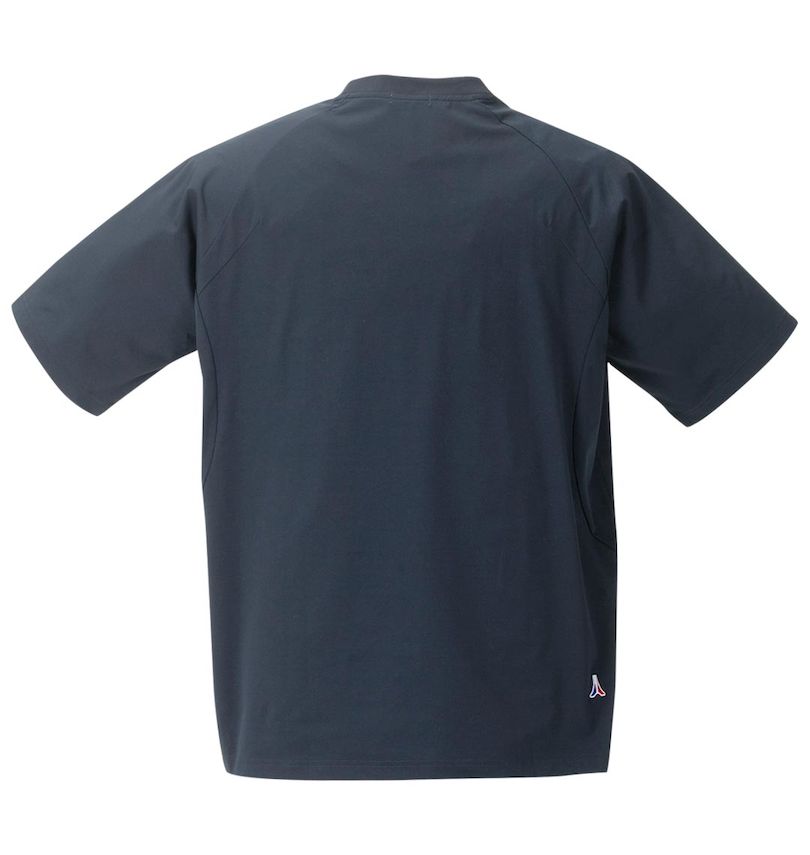 大きいサイズ メンズ LE COQ SPORTIF (ルコックスポルティフ) ヘランカサンスクリーン半袖Tシャツ
                        バックスタイル