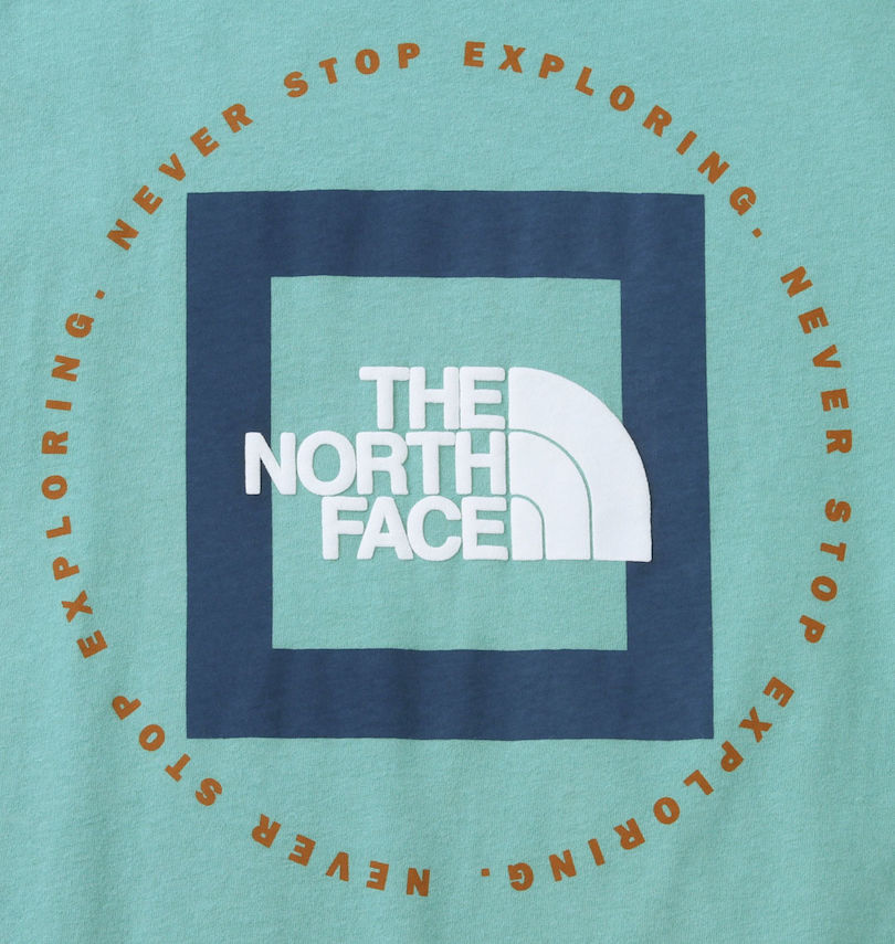 大きいサイズ メンズ THE NORTH FACE (ザ・ノース・フェイス) 半袖Tシャツ
                        プリント