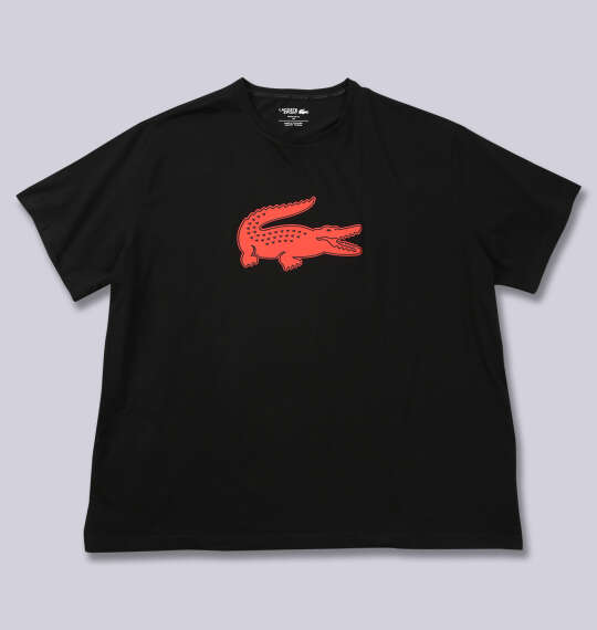 LACOSTE 半袖Tシャツ